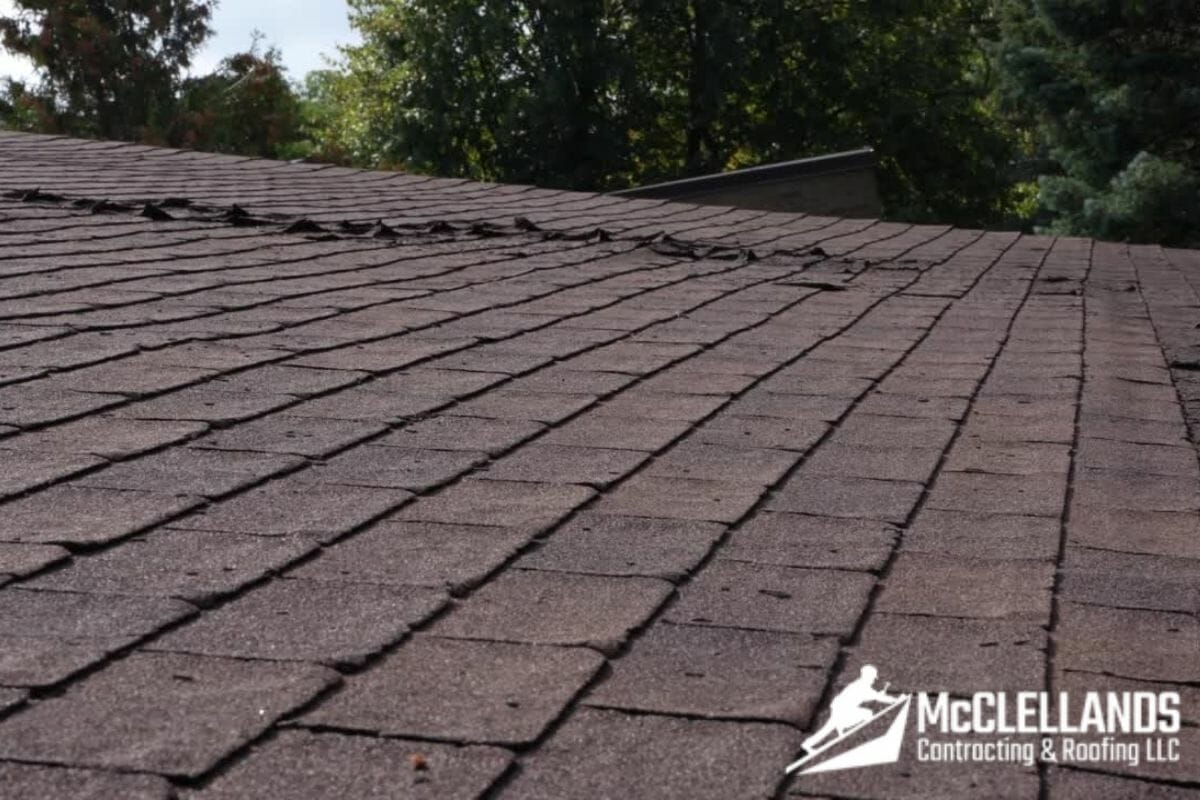 Why You Should Replace Your Roof Before It’s Too Late