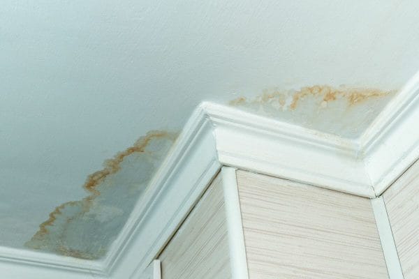 Stains On The Ceiling