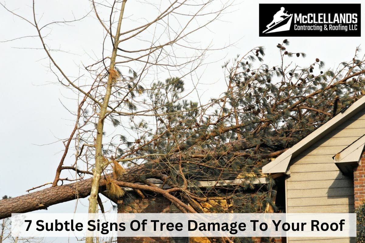 7 Subtle Signs Of Tree Damage To Your Roof And How To Repair Them
