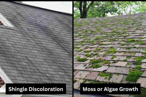 Signs Your Roof Needs To Be Cleaned